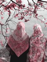 وب سایت رسمی مجتبی طالبی - کارجوی مطلوب یا مطبوع ؟؟(بخش سوم)