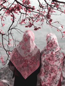 وب سایت رسمی مجتبی طالبی - کارجوی مطلوب یا مطبوع ؟؟(بخش سوم)